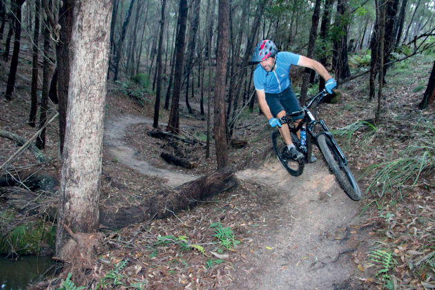 You'll find the Creek Run in the Fire Shed trails - it's a hoot to ride.