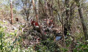 Crash site of De Havilland Dragon VH-UXG. (ATSB)