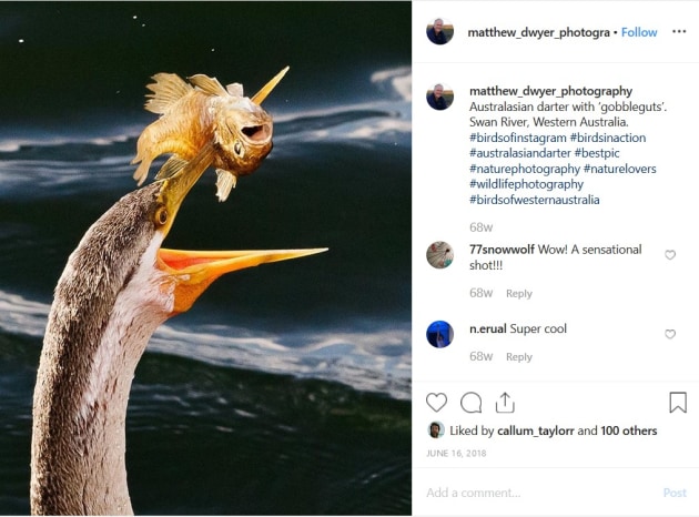 Matthew Dwyer, Instagram (@matthew_dwyer_photography)