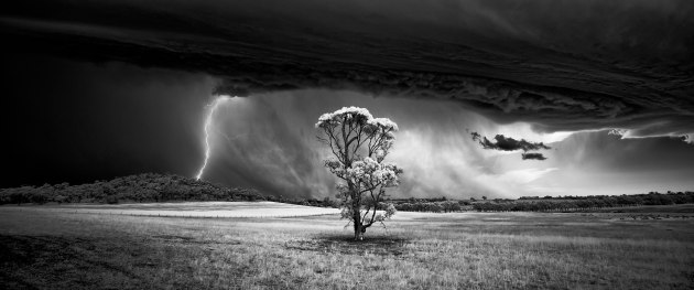 Barossa bolt. © Luke Tscharke.