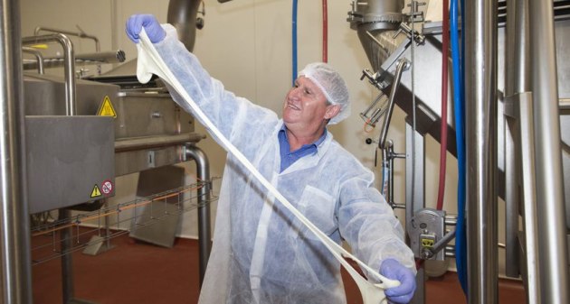 Beston Global Foods Master Cheesemaker Paul Connolly stretches the Edwards Crossing Mozzarella.