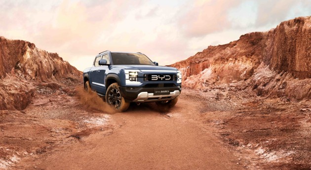 BYD 2025 Record