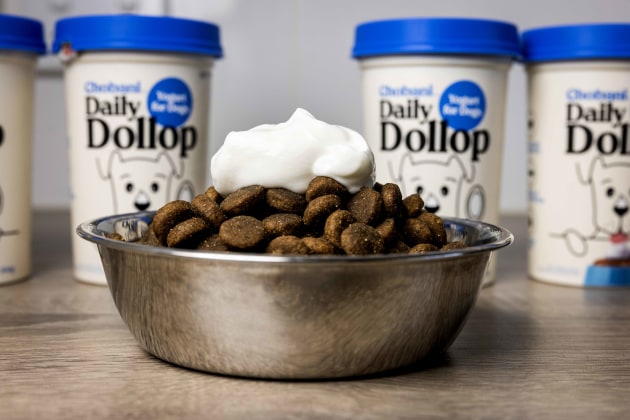 Chobani Australia has unveiled its first foray into pet food with a lactose-free and digestion-boosting yoghurt for dogs, Daily Dollop. The plain, low-fat and lactose-free yoghurt is made with skim milk, lactase and live cultures so it is gentle on doggie tummies.