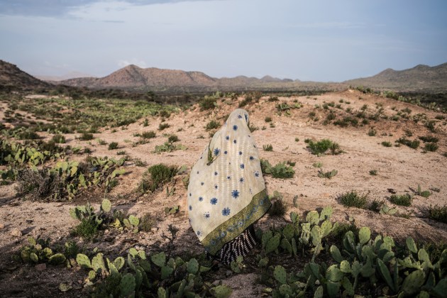 A woman walks through a cactus filed in a drought-stricken area western Somaliland. © Nichole Sobecki.