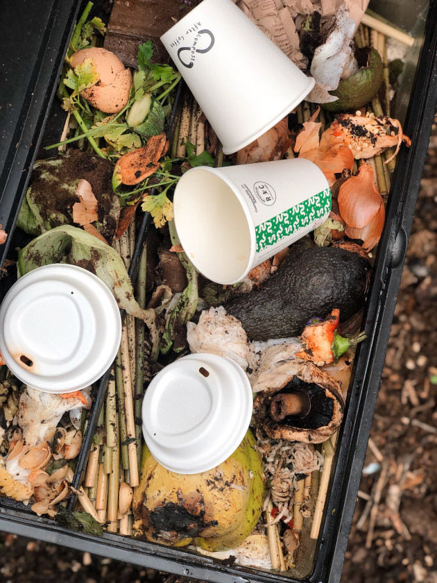 Pic credit: Compostable Alternatives