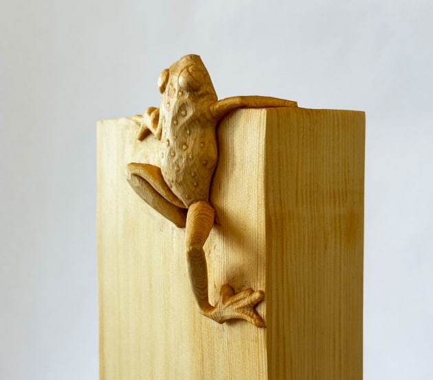 detail-olivia-oconnor.-little-frog.-big-climb-web.jpg
