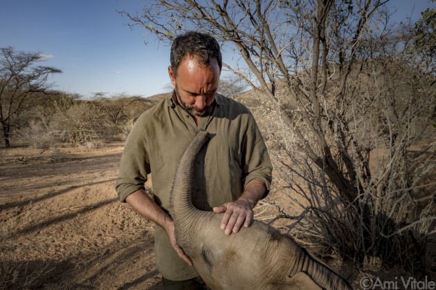 Dave Matthews (@davematthewsband) meets Nadasoit, an orphaned elephant At Reteti Elephant Sanctuary (@r.e.s.c.u.e). Nadasoit was rescued from a well and picked up by a helicopter when she was about 2 weeks old. Today, she’s a plump big, girl and looks after all the younger, more fragile orphans that arrive to the sanctuary. © Ami Vitale.