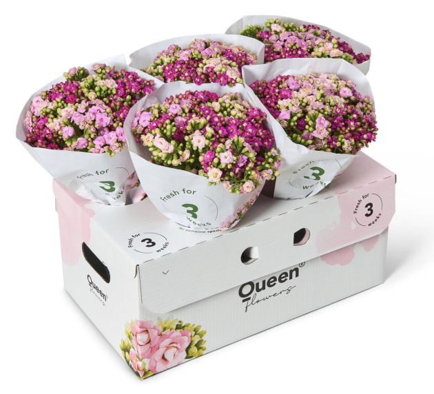 DS Smith’s flower box is easy to fold, and the base can be used with two different lids, with eye-catching aesthetic for in-store displays.
