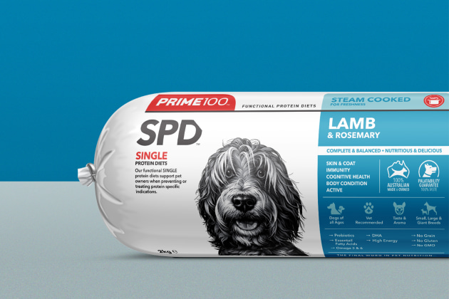 Emotional connection: colour, texture, and form that evoke nostalgia, joy, or pride continue to spark loyalty.