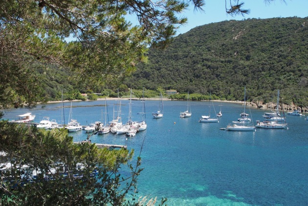 Mariner Boating French Riviera 2