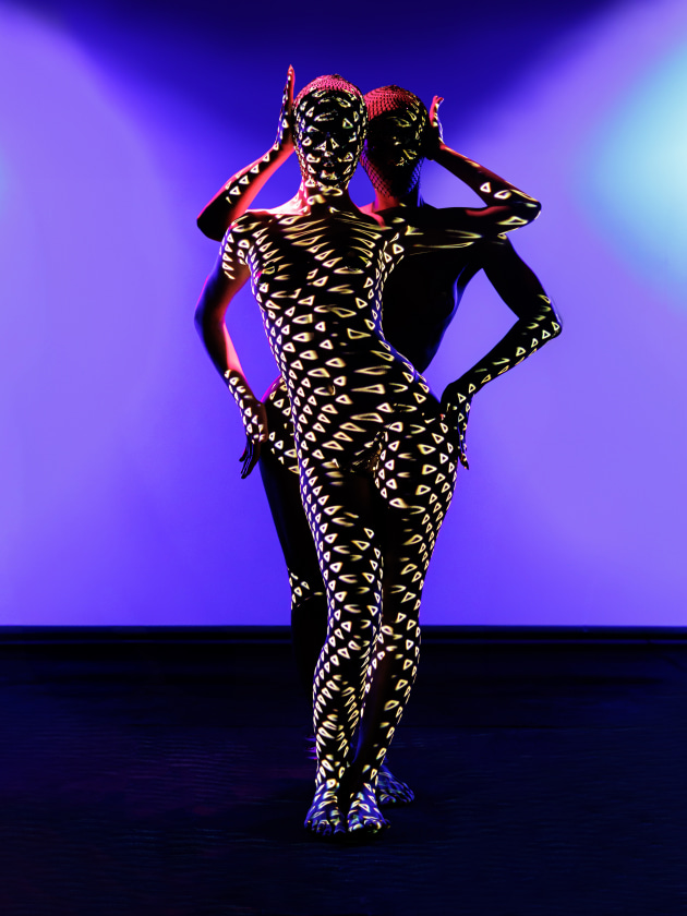 Image supplied by Crazy Horse Paris. francoisgoizevertiges