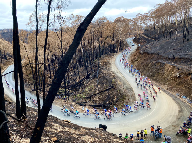 Stage 3 of the 2020 TDU, Turtur's final race, passed through Cudlee Creek, an area severely impacted by fire just weeks earlier. Image: Nat Bromhead