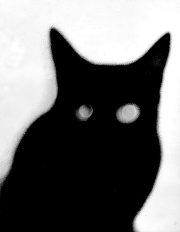 John Rawson, Cat's eyes