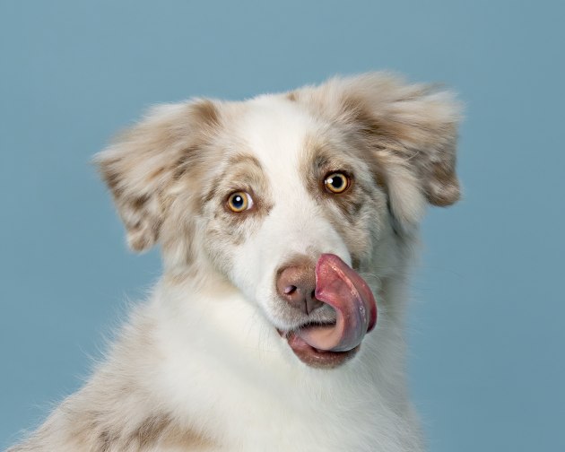 Julie Brown, Look at that tongue.