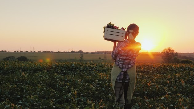 A three year partnership between the Kellogg Australia Charitable Foundation and the Foundation for Rural & Regional Renewal aims to combat food insecurity and build resilience in regional and rural Australia.