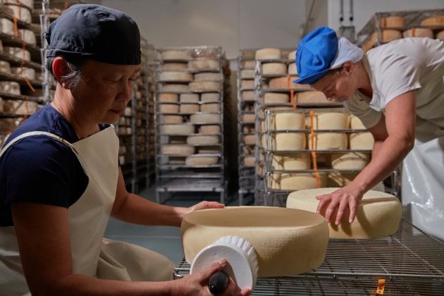Tim Grey’s story on Long Paddock Cheese (April-May 2023 magazine, page 32) is another fine example of an entrepreneur, Alison Lansley, seeing a gap in the market and working hard to fill it.