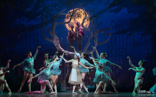 West Australian Ballet's Cinderella. Image by Matt Jelonek