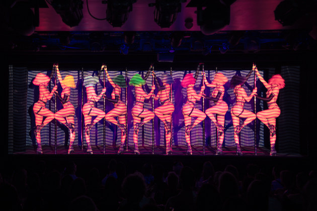 Crazy Horse Paris. Image by Michel Deirick