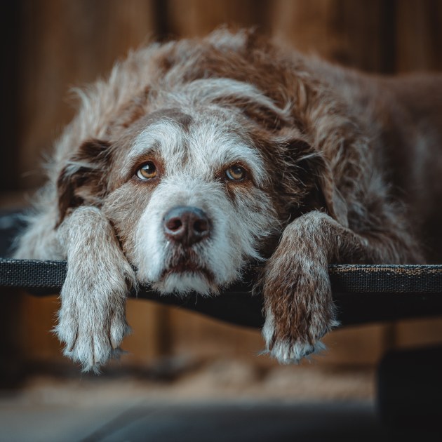 Mikey Ratcliffe, Lazy afternoon