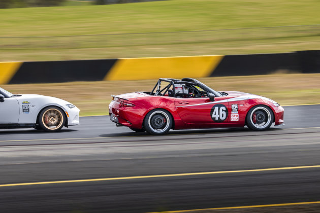 Panasonic Lumix S1 Mark II, LUMIX S 100-500/F5-7.1 lens @ 152mm. 1/125s @ f9, ISO 100. Image: Tim Robinson