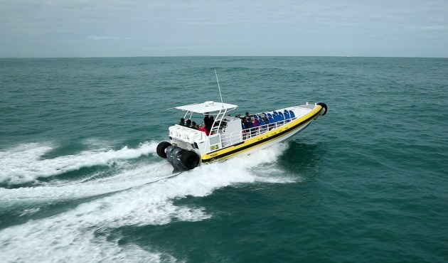 The new Pennicott Wilderness Journeys vessel equipped with the Sealegs System 100 is set to go into operation.