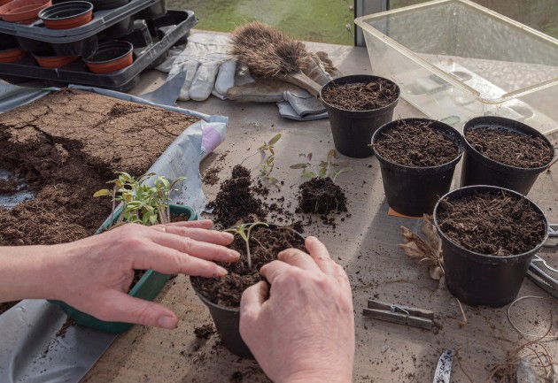 Australians will be able to return their plant packaging for recycling into new plant packaging and close the loop on horticultural polypropylene.