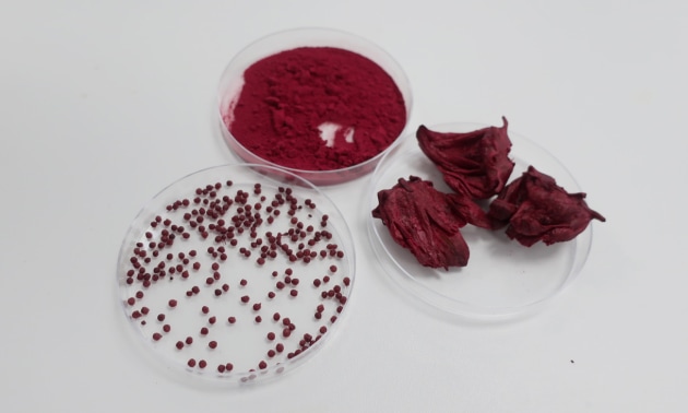 Roselle dishes