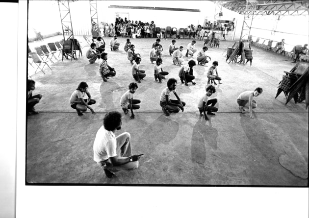 Images supplied by NAISDA