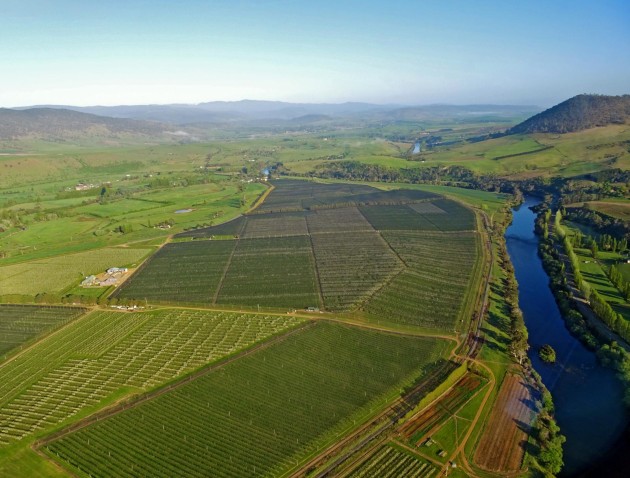 Scotchman Hill Winery
