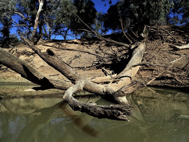 Fishing Outback NSW: signs of recovery? - Fishing World