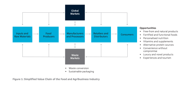 Simplified Value Chain of the Food and Agribusiness Industry