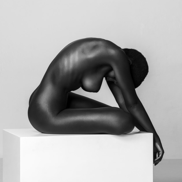 © Thomas Holm. Ebony Carving. “Sculptural images are all about lighting, form, and texture. Minimalistic is my favourite approach like this image with Shasta Wonder.”