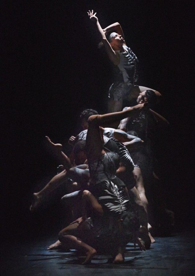 Sheoak Lore. Image by Edward Mulvihill