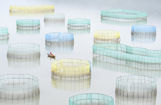 © Marsel van Oosten, Netherlands. Special Mention, Mankind, TPOTY 2016. A farm worker rows out to inspect the nets of a large crab farm in the sea. Aquaculture is an important economy in the eastern coast seaside towns in Xiapu county, Fujian, China.