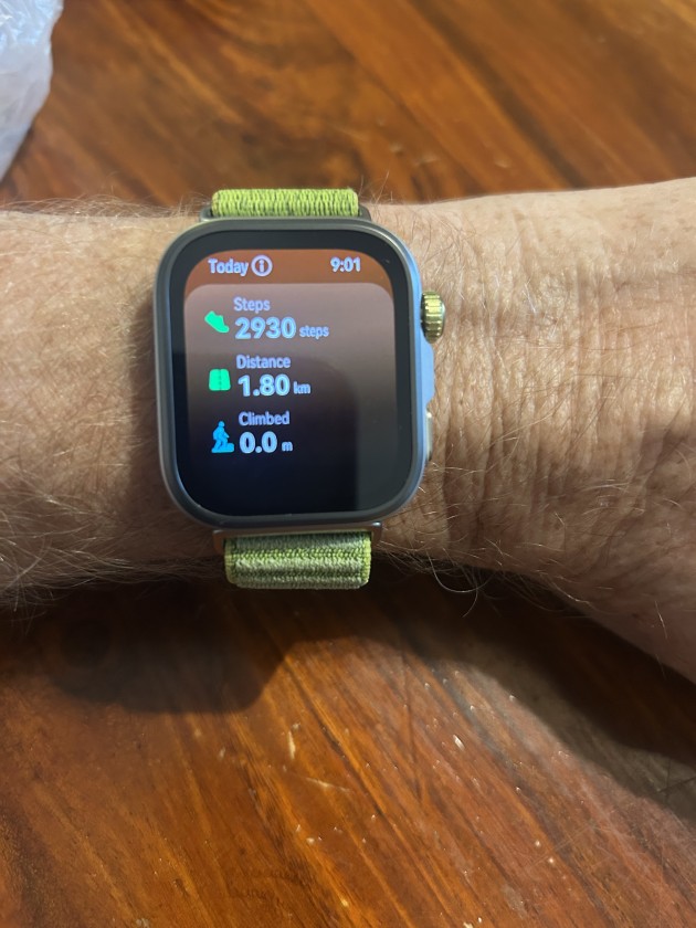 The step and distance counter was handy for training.