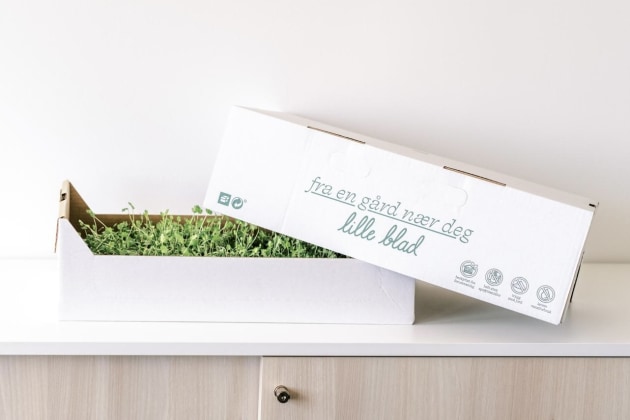 Smurfitt Westrock's 'Lille Blad' corrugated tray Tor microgreens won in the Fresh Fruit & Vegetables category.