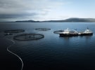 Huon undertakes digital transformation after troubled year