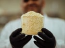 WOA explores feasibility for 10k tonne lupin protein facility