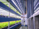 APAC agrifoodtech leaders gear up for SIAW