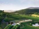 Victoria unveils five year strategy for wine industry