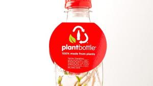 Sweet addition: Coca-Cola launches sugar cane bottle