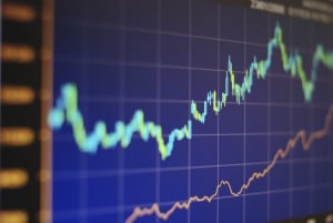 Bubs completes $30m share placement