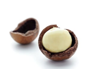 Macadamia Innovation Challenge 2 kicks off