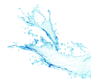 Bottled water industry welcomes review