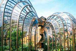 Gin distillery praised for sustainability strength