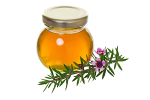 Capilano's results boosted by sweet health kick