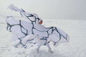 Opposites attract: DANscienCE Festival