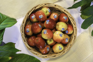 Montague Farms trials compostable apple stickers