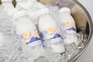 Good Earth Dairy seeks to raise $1.2m
