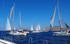 Sail in company - explore on your own